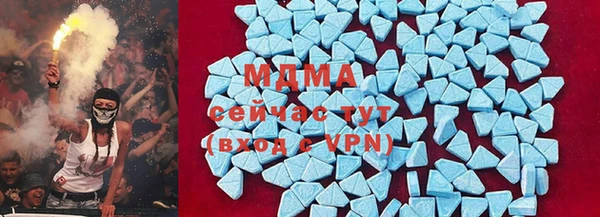 индика Сосновый Бор