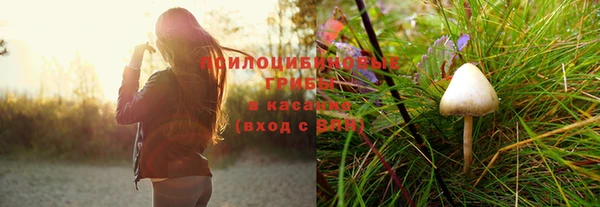 мяу мяу мука Верхний Тагил