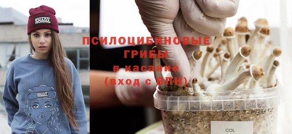 мяу мяу мука Верхний Тагил