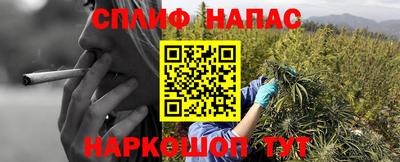 jwh Кимры