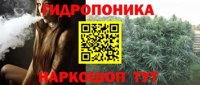 jwh Кимры