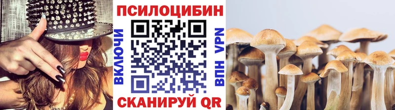 цена Мариинск MEGA вход Псилоцибиновые грибы Magic Shrooms