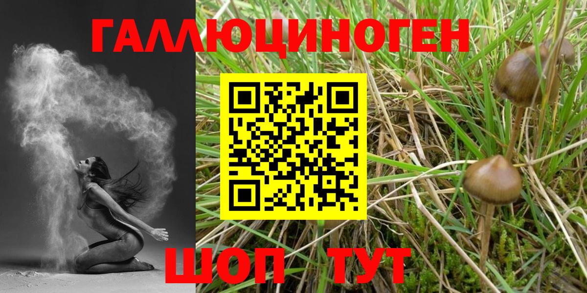 Псилоцибиновые грибы Cubensis Мариинск